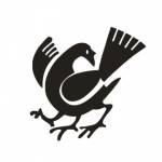 老皇汉 Profile Picture