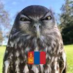 William Mongolia ma Profile Picture