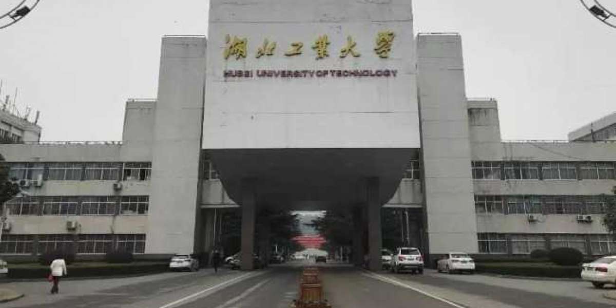 网传湖北工业大学女研究生遭黑人猥亵跳楼身亡！