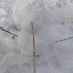 asi gen Profile Picture