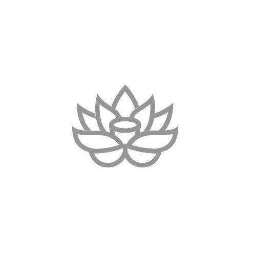 网络弘法启动资金