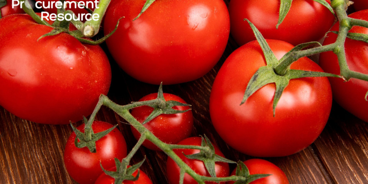 Tomato Production Cost Analysis Report: Cost Model, Pre-Feasibility, and Market Insights