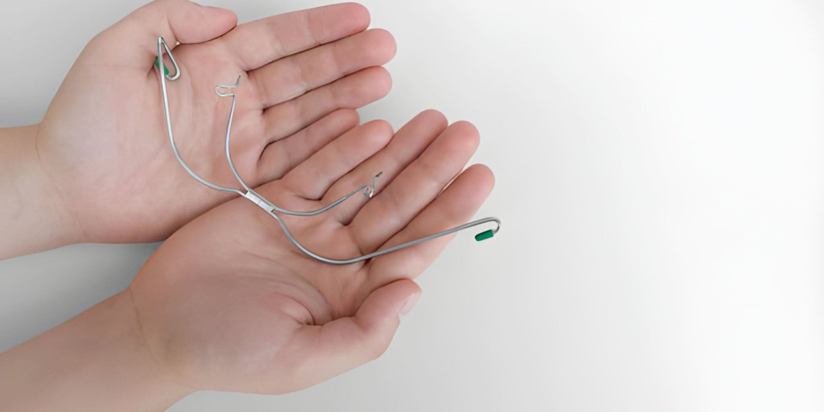 Biliary Stents: Market Evolution and Technological Innovations